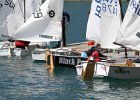 opti_2013 (13)